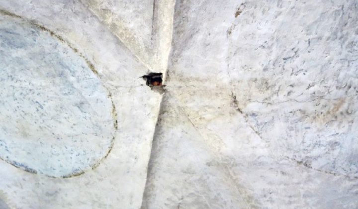 6. fotografia fotogalérie Cirkevné oznamy / Reštaurátorske práce na klenbe Kostola sv. Kat