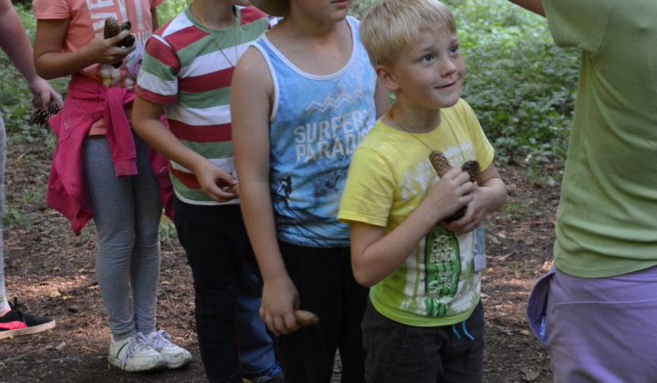 59. fotografia fotogalérie Cirkevné oznamy / 	 Detský tábor pre deti do 12 rokov 