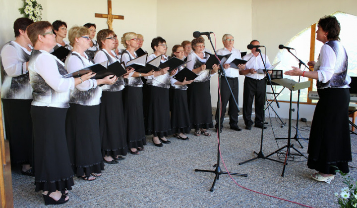 29. fotografia fotogalérie 1. ročník prehliadky speváckych zborov 2014