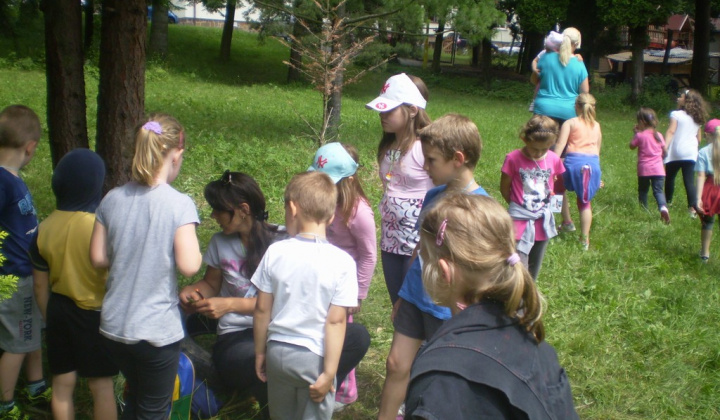 59. fotografia fotogalérie Detský tábor 2014 na Sigorde s názvom „Hrdinovia“