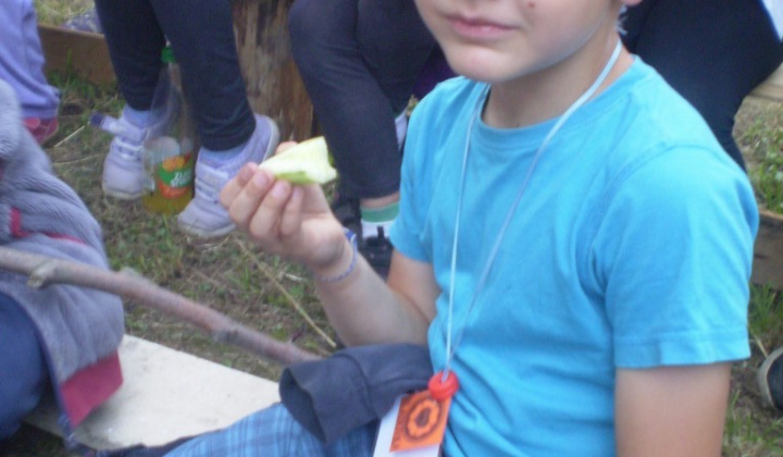 95. fotografia fotogalérie Detský tábor 2014 na Sigorde s názvom „Hrdinovia“