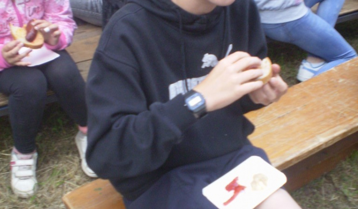 98. fotografia fotogalérie Detský tábor 2014 na Sigorde s názvom „Hrdinovia“