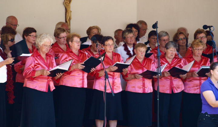 89. fotografia fotogalérie Prehliadka zborov 2013