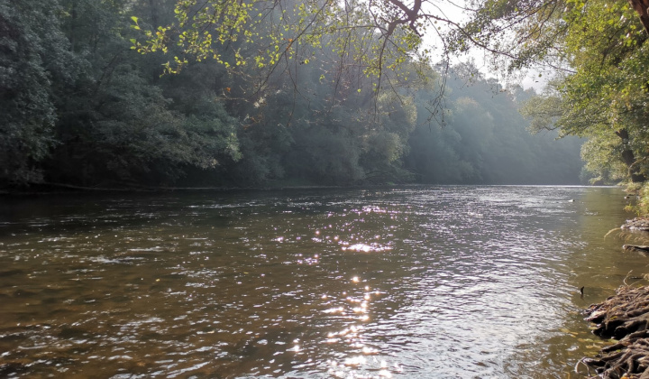 25. fotografia fotogalérie Šport / HORNAD TRIATHLON