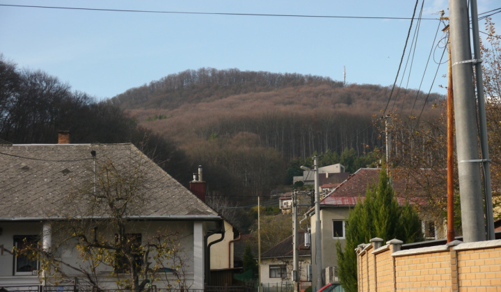 1. fotografia fotogalérie Šport / Beh na hrad