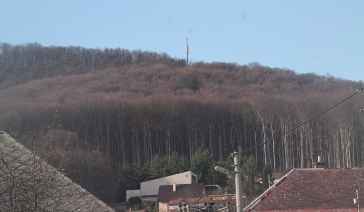 2. fotografia fotogalérie Šport / Beh na hrad