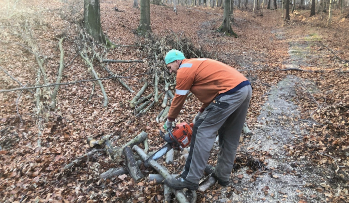 14. fotografia fotogalérie Šport / Brigáda pri horárni