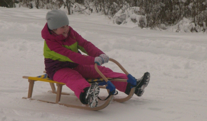 3. fotografia fotogalérie PERINBABA SHOW 2017