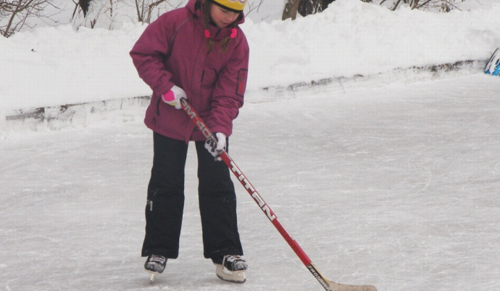 10. fotografia fotogalérie PERINBABA SHOW 2017
