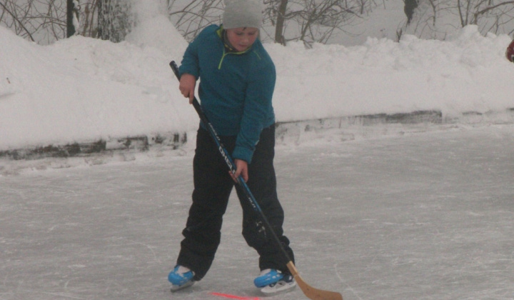 11. fotografia fotogalérie PERINBABA SHOW 2017