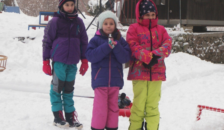 37. fotografia fotogalérie PERINBABA SHOW 2017