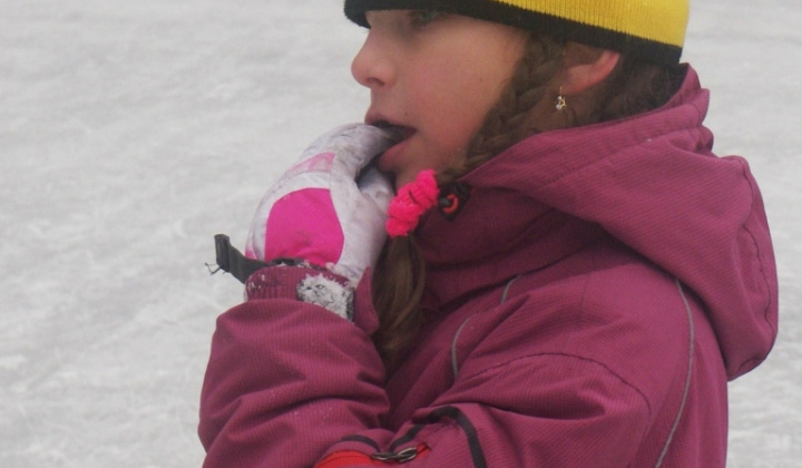 38. fotografia fotogalérie PERINBABA SHOW 2017