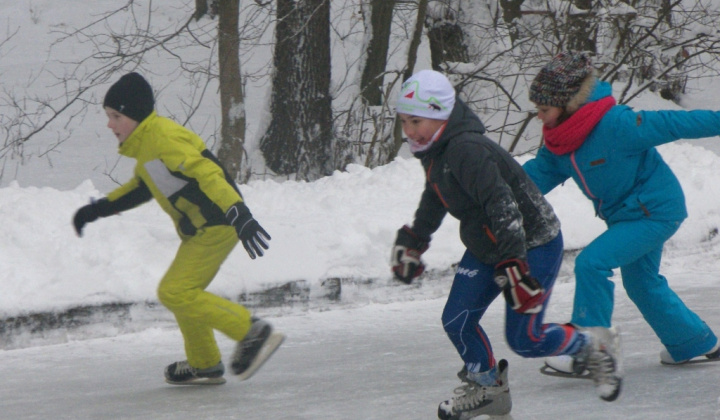 46. fotografia fotogalérie PERINBABA SHOW 2017