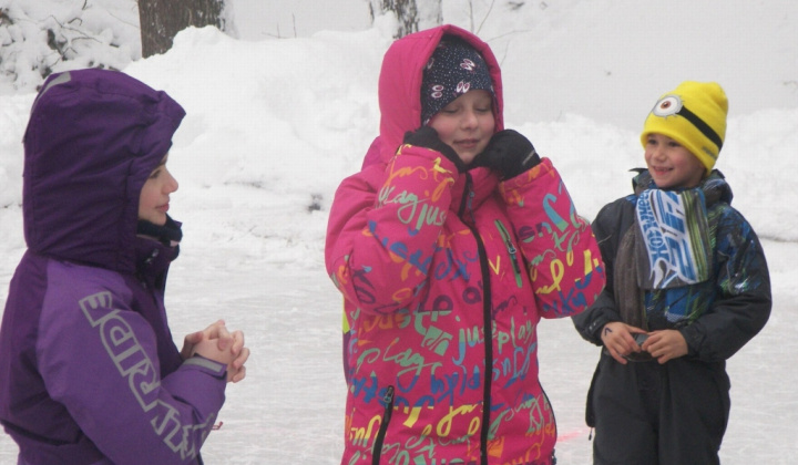 53. fotografia fotogalérie PERINBABA SHOW 2017