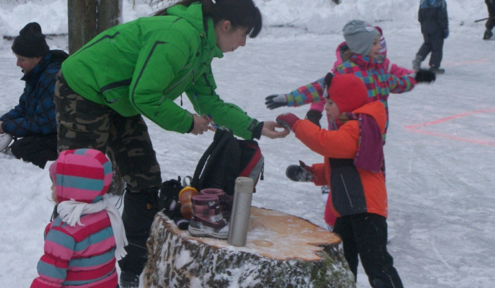 101. fotografia fotogalérie PERINBABA SHOW 2017
