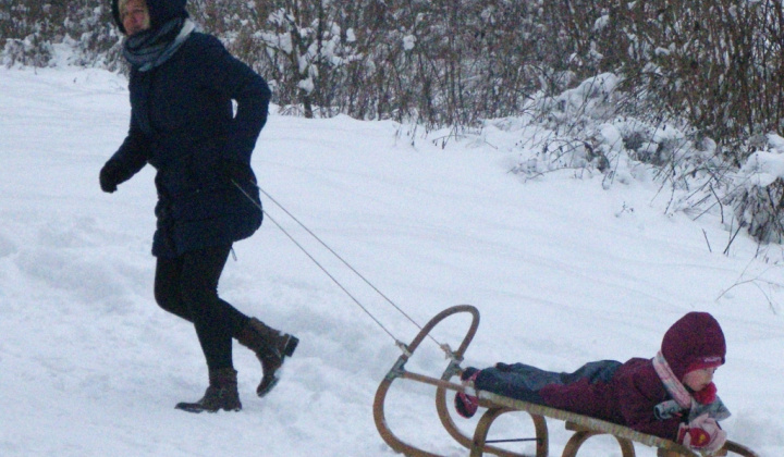 111. fotografia fotogalérie PERINBABA SHOW 2017