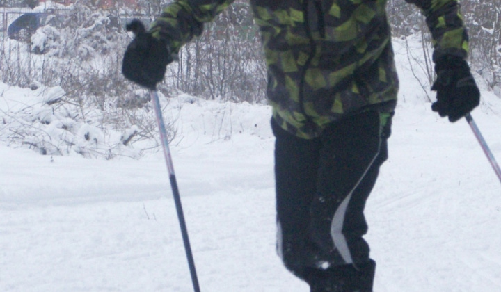 113. fotografia fotogalérie PERINBABA SHOW 2017