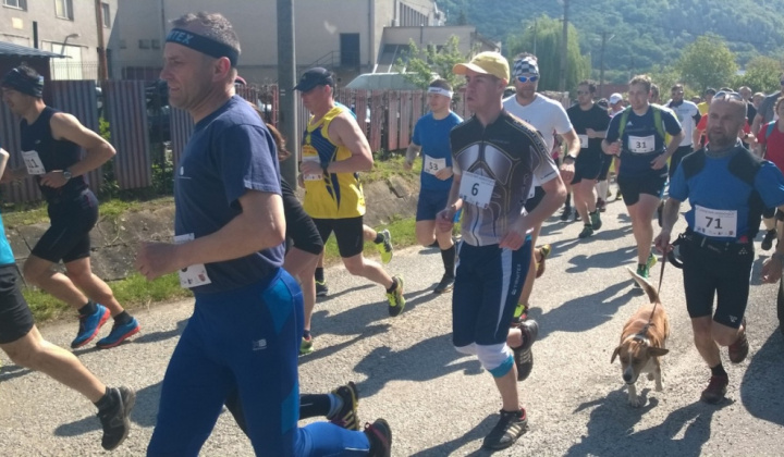 14. fotografia fotogalérie Šport / 1. Lesný beh statočných