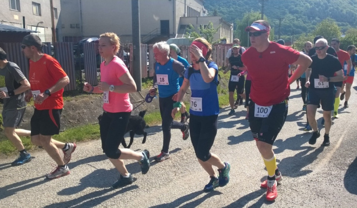 16. fotografia fotogalérie Šport / 1. Lesný beh statočných