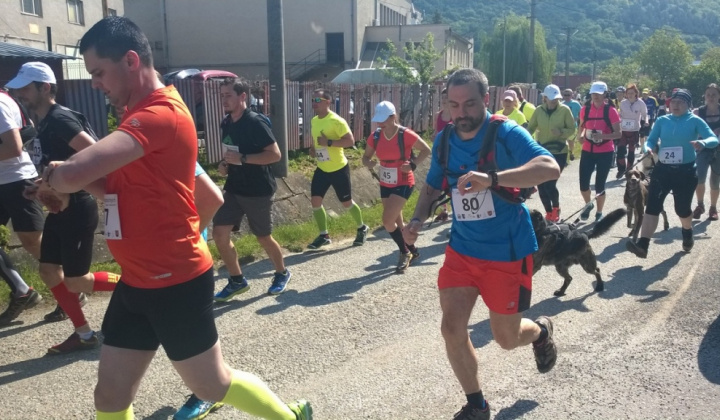 17. fotografia fotogalérie Šport / 1. Lesný beh statočných