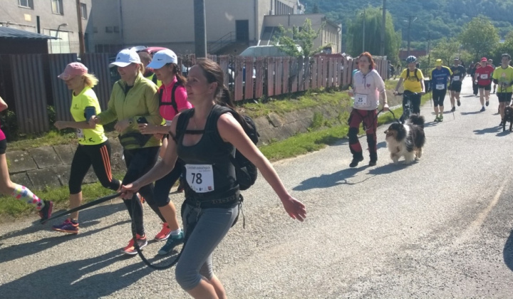 18. fotografia fotogalérie Šport / 1. Lesný beh statočných