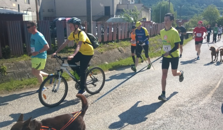 19. fotografia fotogalérie Šport / 1. Lesný beh statočných