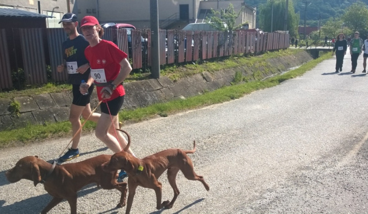 20. fotografia fotogalérie Šport / 1. Lesný beh statočných