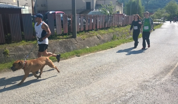 21. fotografia fotogalérie Šport / 1. Lesný beh statočných