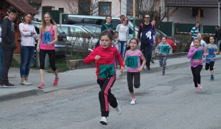 91. fotografia fotogalérie 33. ročník Behu Hornádskou dolinou