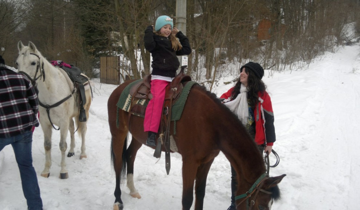 1. fotografia fotogalérie PERINBABA SHOW 2013