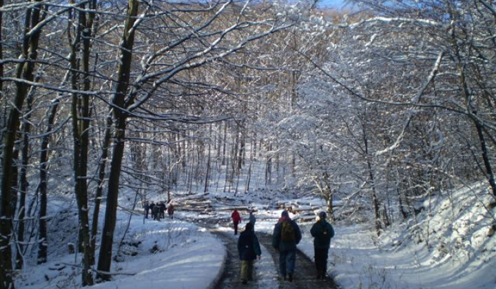 15. fotografia fotogalérie Slávnostné otvorenie náučného chodníka „Ku Kráľovej studni“