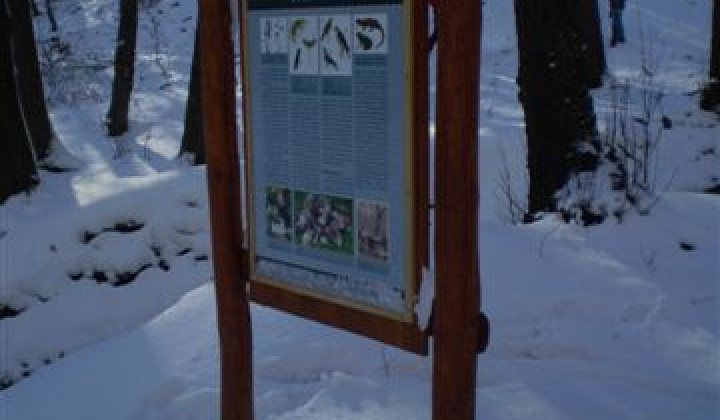 24. fotografia fotogalérie Slávnostné otvorenie náučného chodníka „Ku Kráľovej studni“