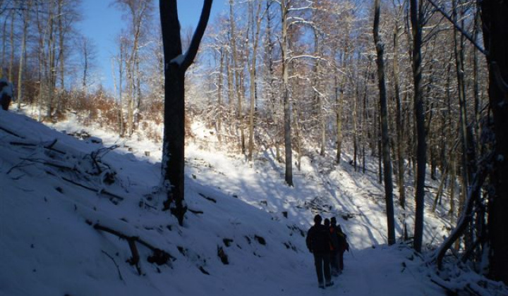 38. fotografia fotogalérie Slávnostné otvorenie náučného chodníka „Ku Kráľovej studni“