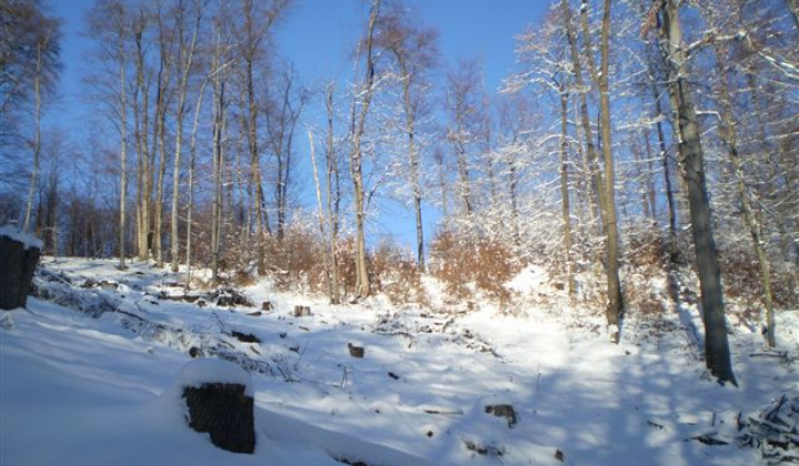 39. fotografia fotogalérie Slávnostné otvorenie náučného chodníka „Ku Kráľovej studni“