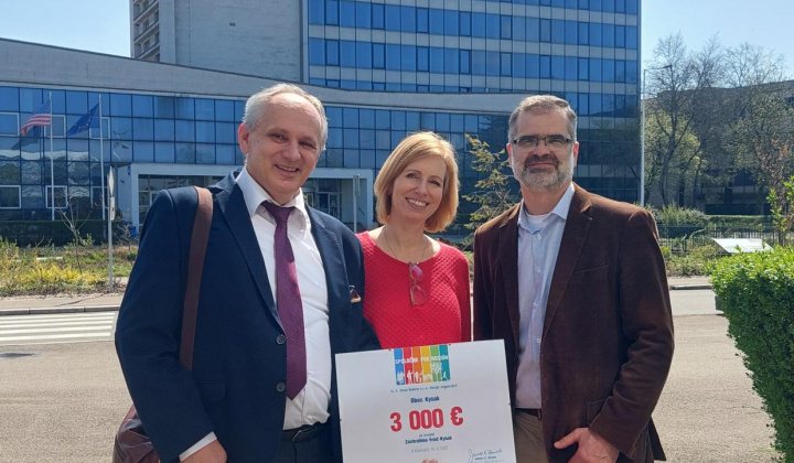 1. fotografia fotogalérie Projekty / Zachráňme hrad Kysak - foto