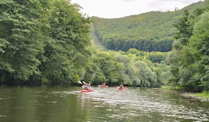 100. fotografia fotogalérie Aktuality - archív / Zachráňme hrad Kysak - foto