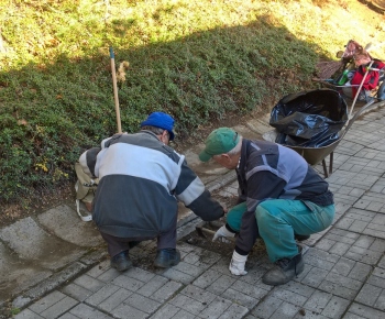 Jednota dôchodcov / Brigáda na upratovaní cintorínov