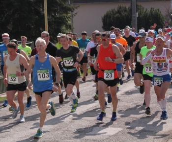 Šport / 37. ročník Behu Hornádskou dolinou - polmaratón