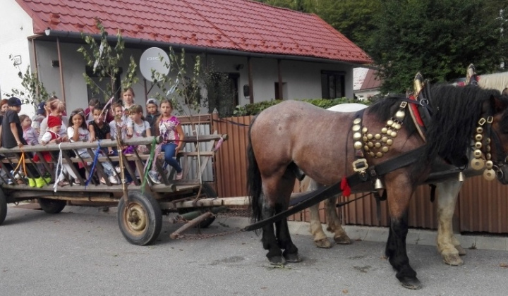 Fotka - Kysackí harmonikári na prehliadke heligonkárov v Kojšove dňa 8.9.2019